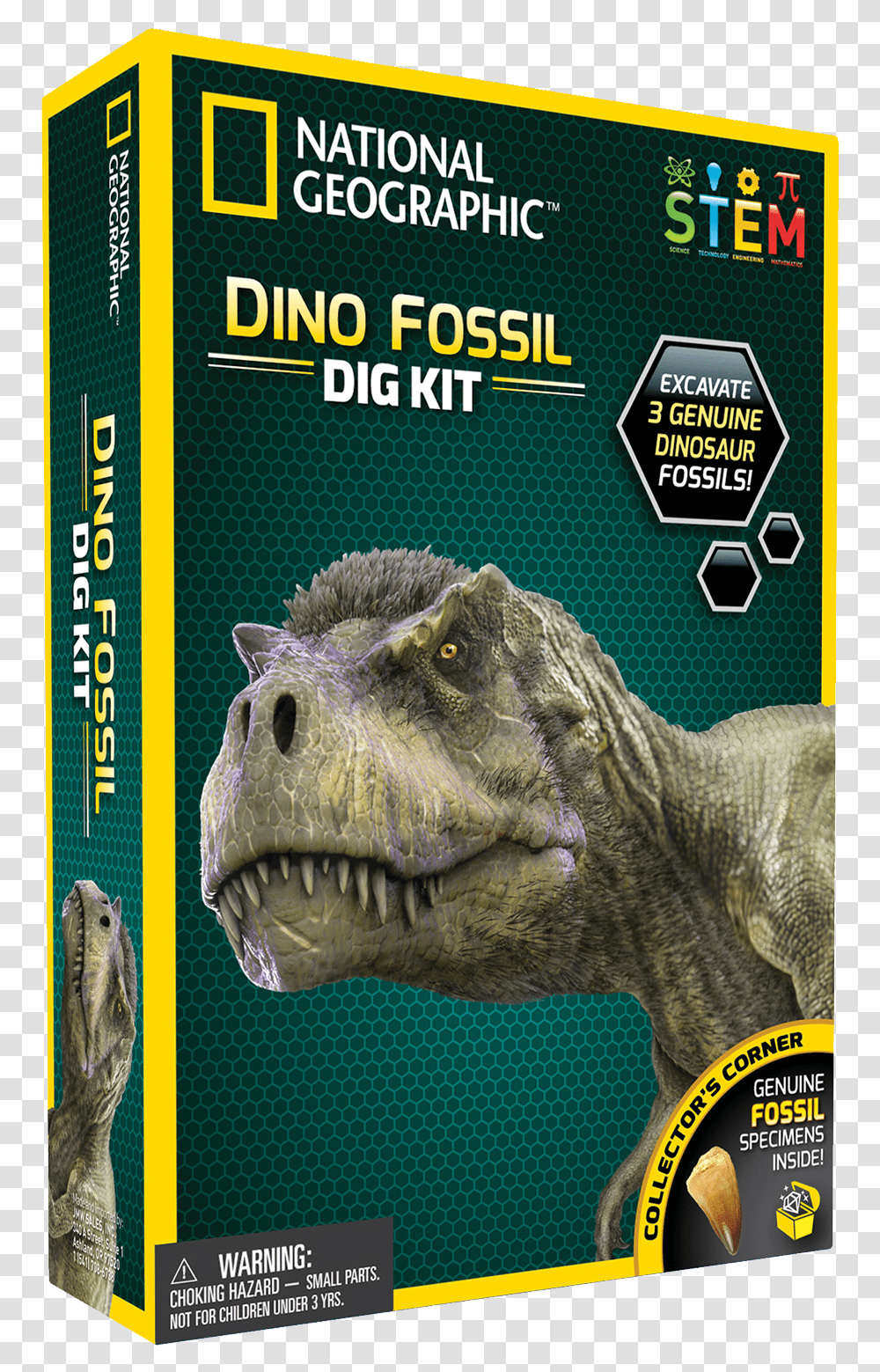 Real Dinosaur Fossil Dig Kit National Geographic Dino Fossil Dig Kit, Reptile, Animal, T-Rex, Advertisement Transparent Png