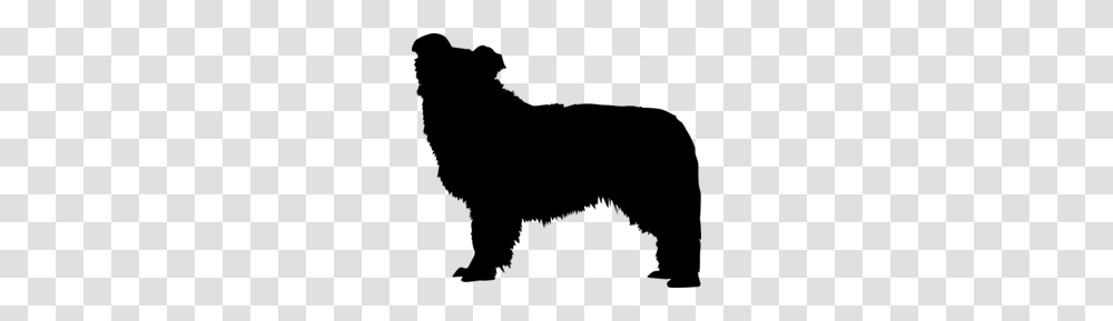 Real Dog Border Collies Clipart, Gray, World Of Warcraft Transparent Png