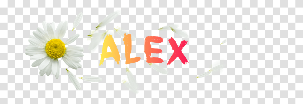 Real Editor Alex Flower Logo Camomile, Text, Plant, Handwriting, Label Transparent Png