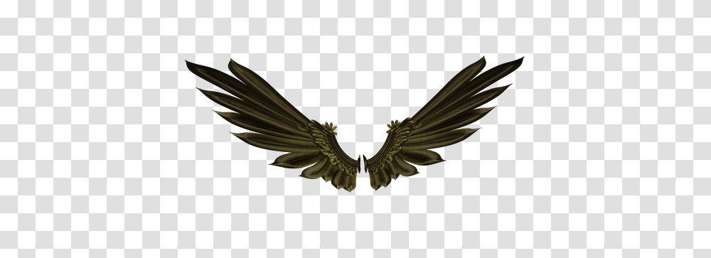 Real Editors Bird Wings, Animal, Emblem, Bronze Transparent Png