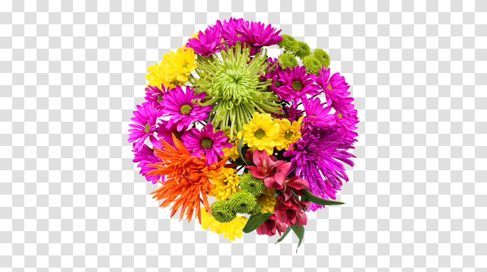 Real Flowers 3 Image Beautiful Fresh Flower, Plant, Blossom, Flower Bouquet, Flower Arrangement Transparent Png