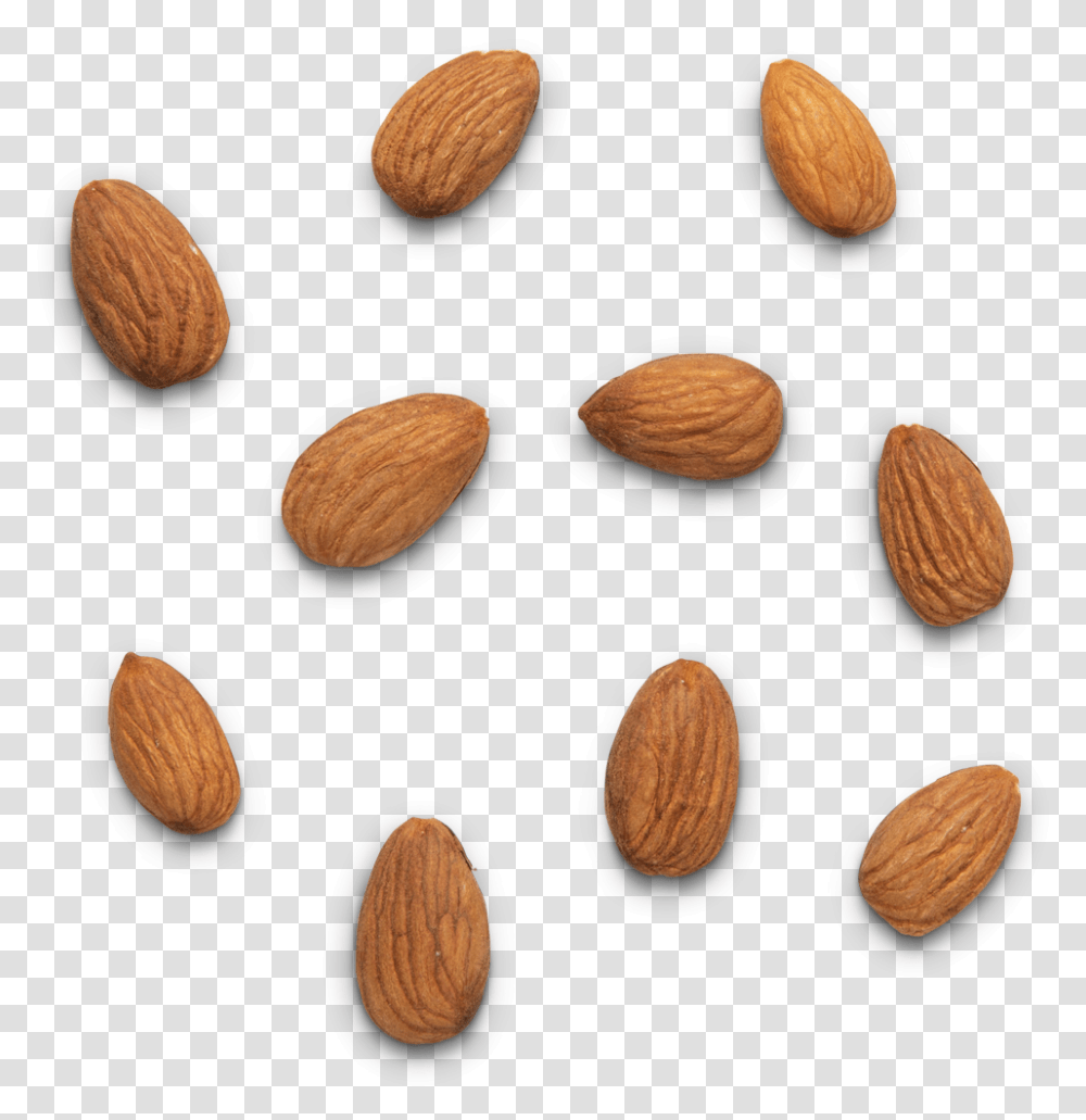Real Food Real Fuel Almond, Nut, Vegetable, Plant Transparent Png
