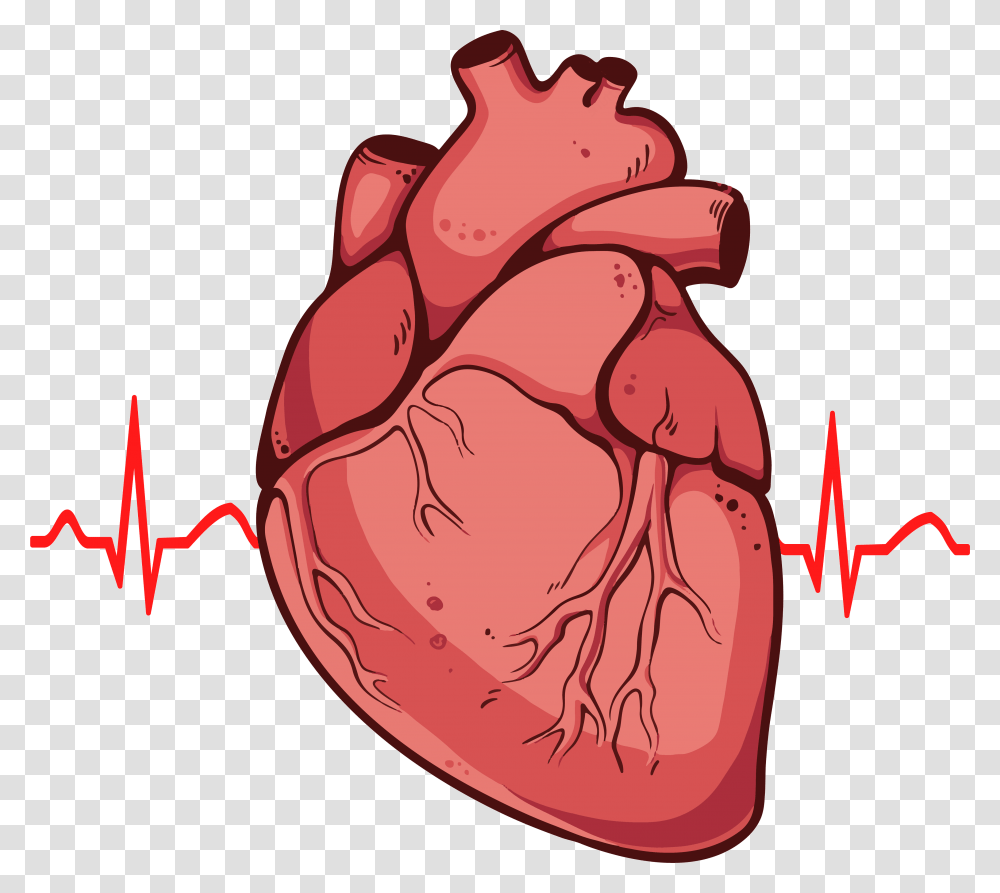 Real Heart, Animal, Bag, Bird, Food Transparent Png