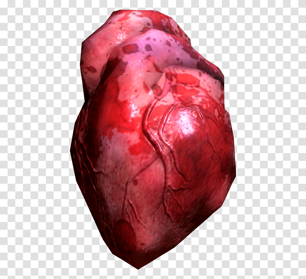 Real Heart Clipart Skyrim Human Heart, Plant, Head, Flower, Blossom Transparent Png