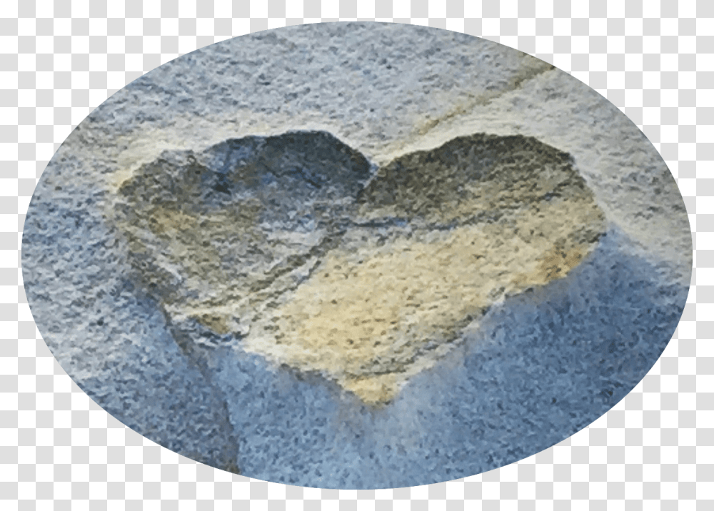 Real Heart Heart, Fossil, Rug, Rock, Limestone Transparent Png
