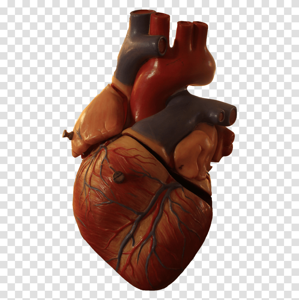 Real Heart No Background, Figurine, Person, Sweets, Food Transparent Png