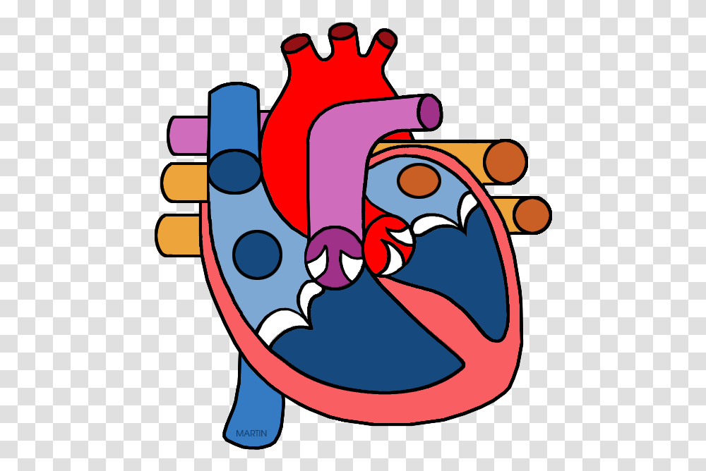 Real Human Heart Clipahuman Heart Circulatory System, Graphics, Dynamite, Bomb, Weapon Transparent Png