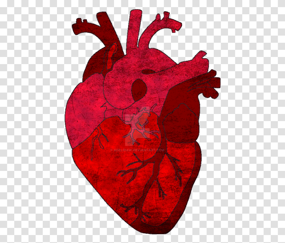 Real Human Heart, Weapon, Weaponry, Lamp Transparent Png