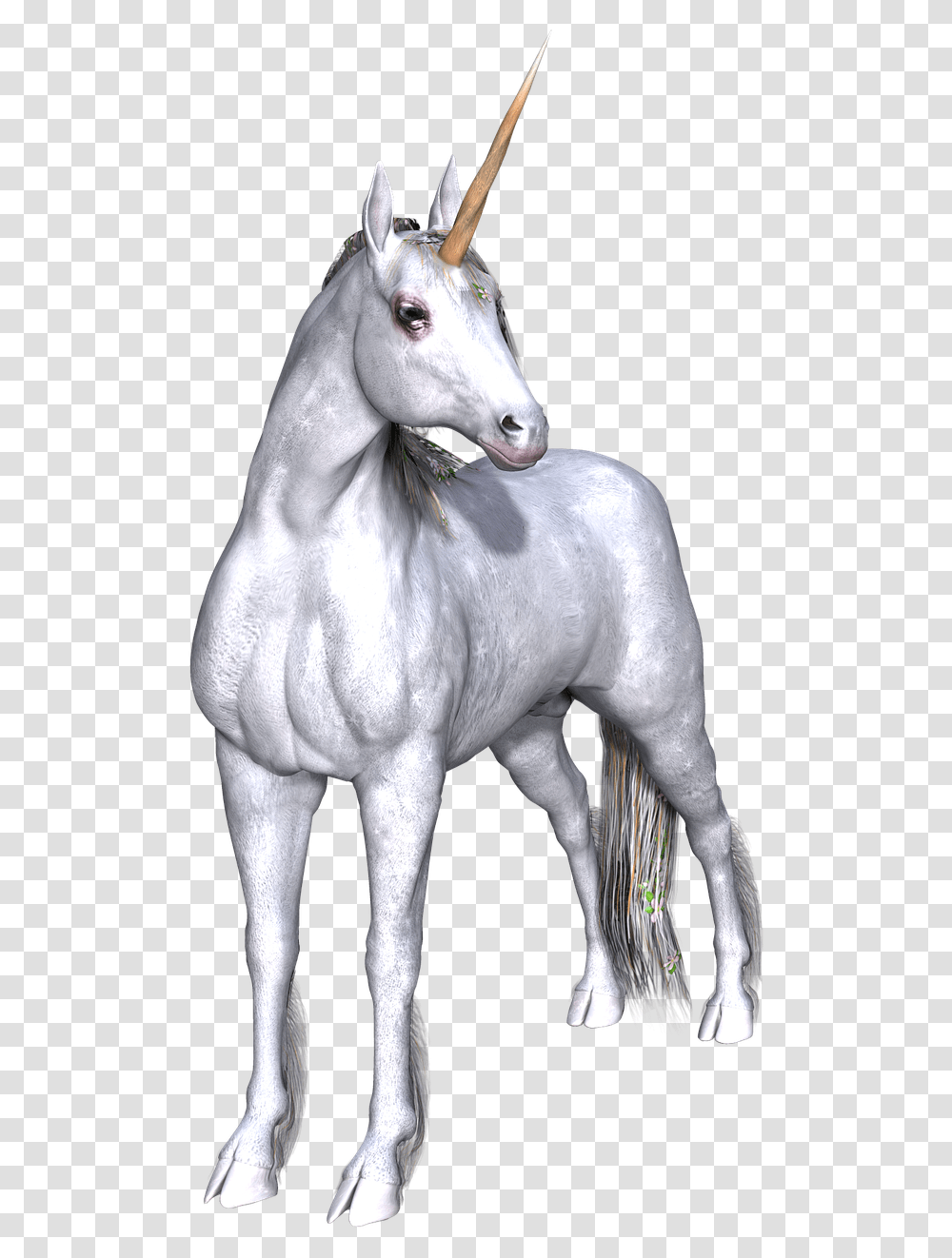 Real Life Unicorn, Horse, Mammal, Animal, Stallion Transparent Png