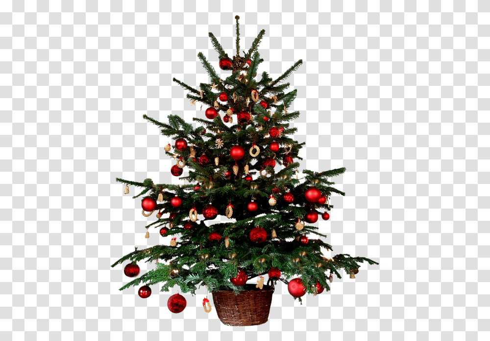 Real Look Xmas Tree, Christmas Tree, Ornament, Plant Transparent Png