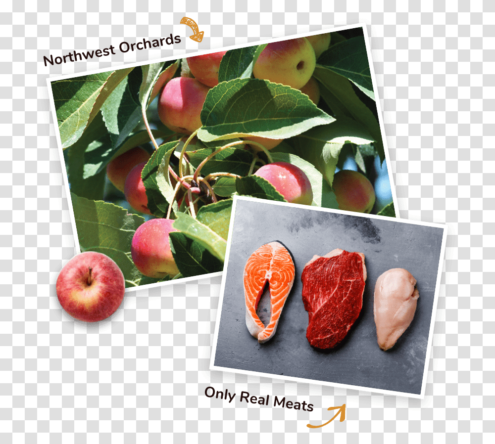 Real Meats And Fruits Apple, Plant, Food, Peach, Bread Transparent Png