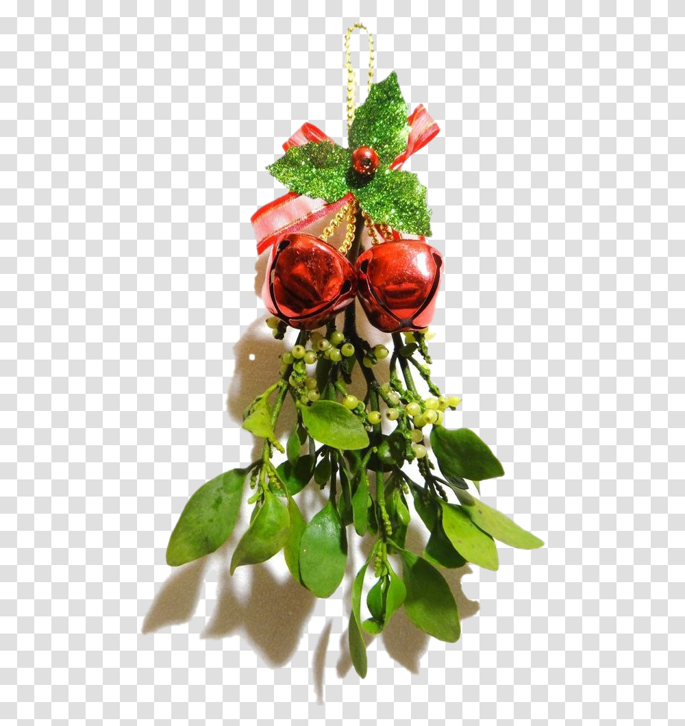 Real Mistletoe Mistletoe, Plant, Tree, Ornament, Flower Transparent Png