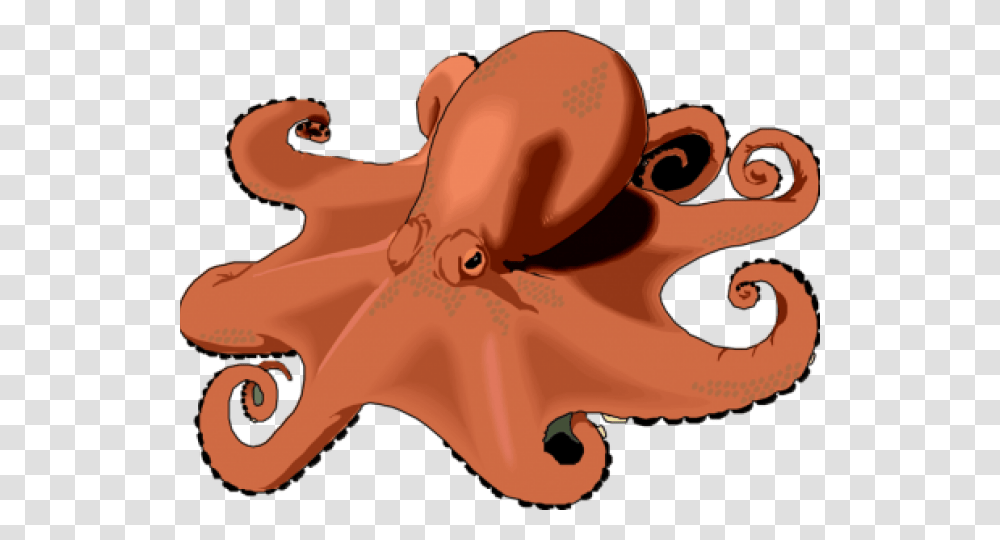 Real Octopus Clipart, Sea Life, Animal, Invertebrate, Toy Transparent Png