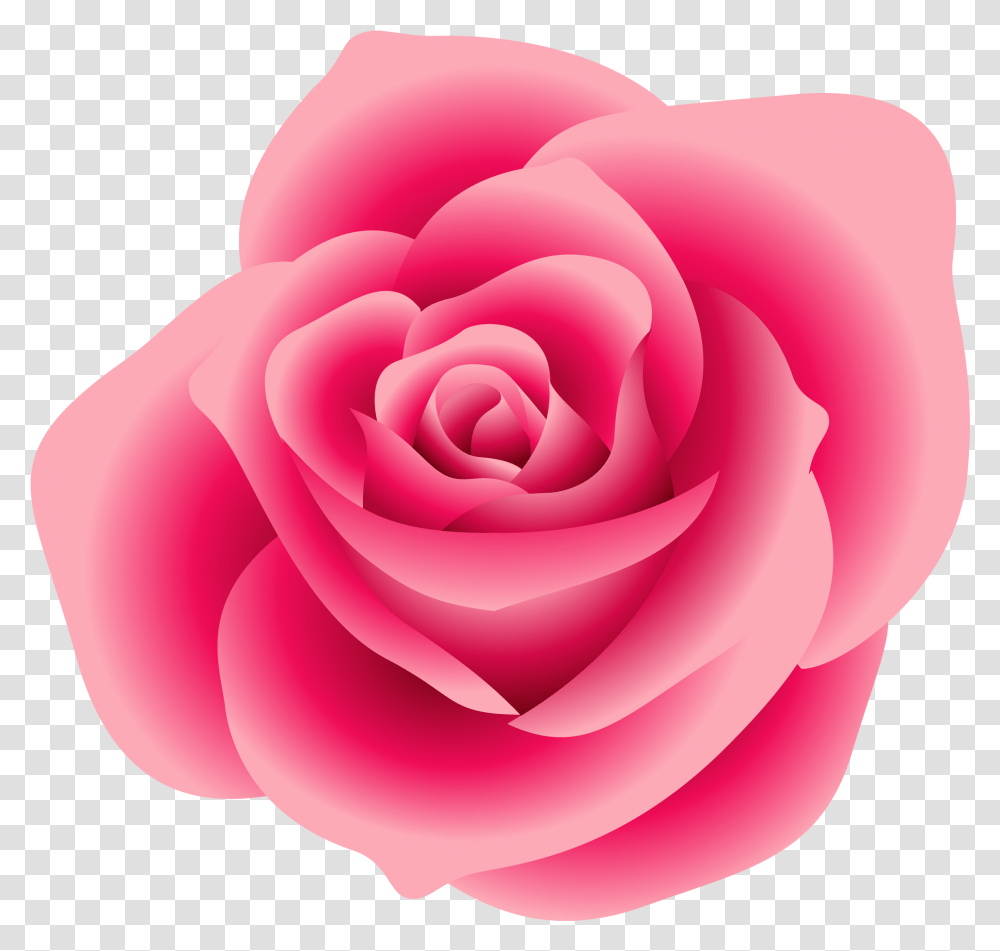 Real Pink Rose Clipart Pink Rose Clipart, Flower, Plant, Blossom, Petal Transparent Png
