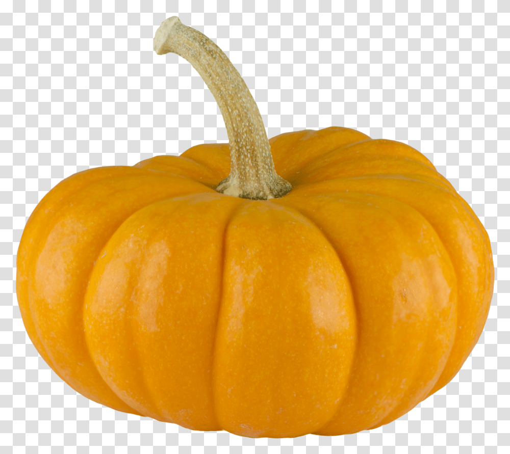 Real Pumpkin Background Pumpkin, Plant, Vegetable, Food, Orange Transparent Png