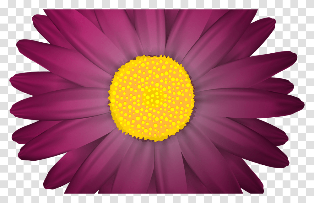 Real Purple Flower Clip Art Gardening Flower And Vegetables, Plant, Daisy, Daisies, Blossom Transparent Png