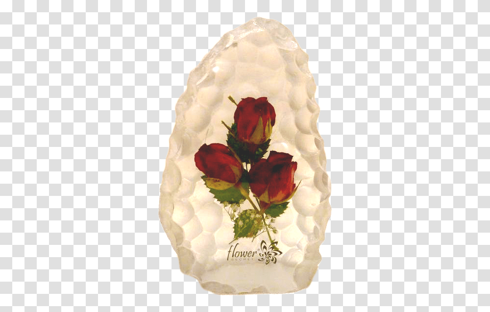 Real Rose In Resin Garden Roses, Art, Accessories, Jewelry, Plant Transparent Png