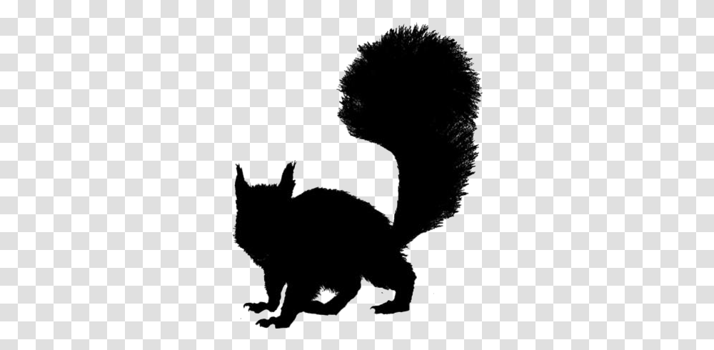 Real Squirrel Images Grey Squirrel, Silhouette, Painting, Stencil Transparent Png