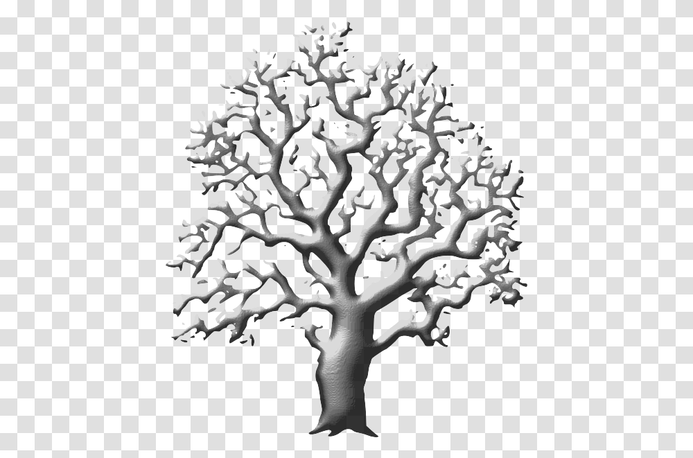 Real Tree Clip Art Black And White, Nature, Outdoors, Water, Reef Transparent Png