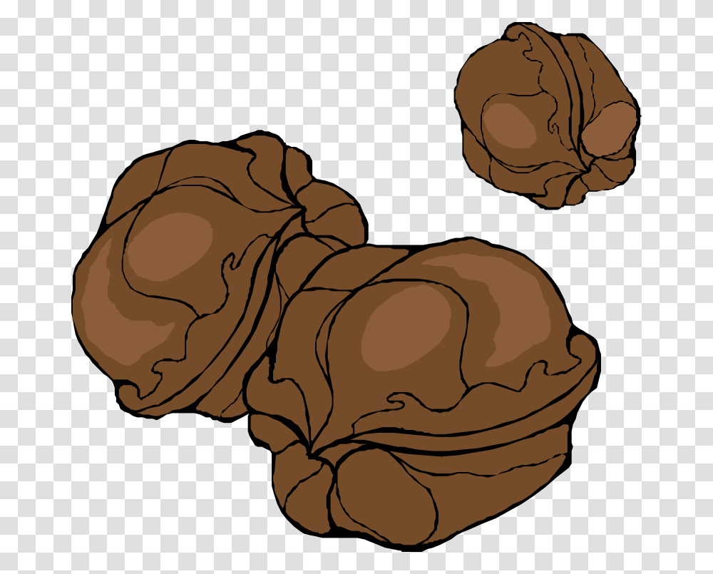 Real Walnut Clipart, Rock, Plant, Nature, Label Transparent Png