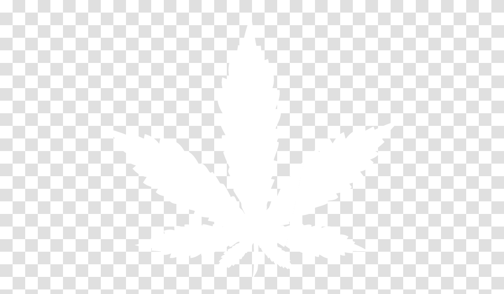 Real Weed Leaf Marijuana Leaf, White, Texture, White Board Transparent Png
