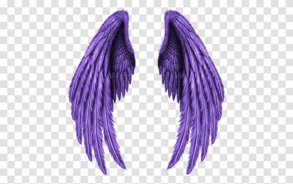 Real Wings Angle Wing Fly Black Bright Fantasy Broken Angel Wings, Apparel, Accessories, Accessory Transparent Png