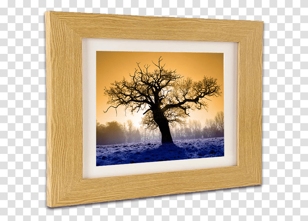 Real Wood Picture Framing At Hayman Creative Nottingham Picture Frame, Tree, Plant, Tree Trunk, Painting Transparent Png