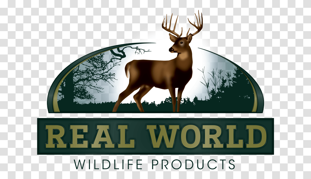 Real World Wildlife Seed, Elk, Deer, Mammal, Animal Transparent Png