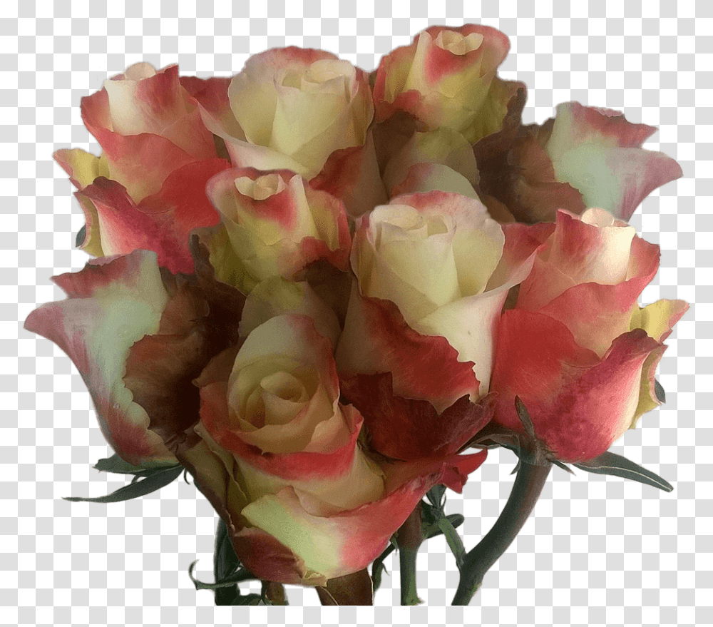 Real Yellow Pink Roses Cheap Huge Rose Bouquet To Order Online Floribunda, Plant, Flower, Blossom, Flower Bouquet Transparent Png