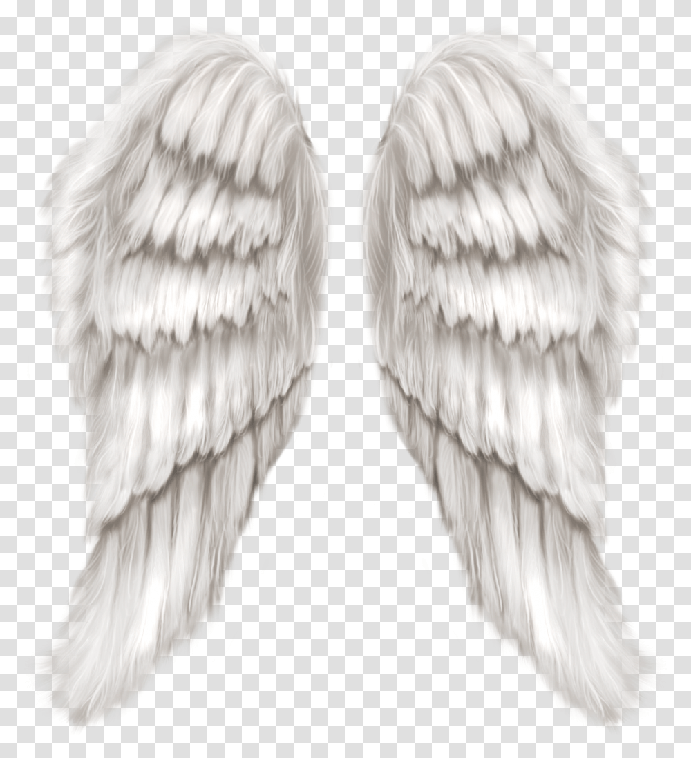 Realistic Angel Wings, Bird, Animal, Archangel Transparent Png