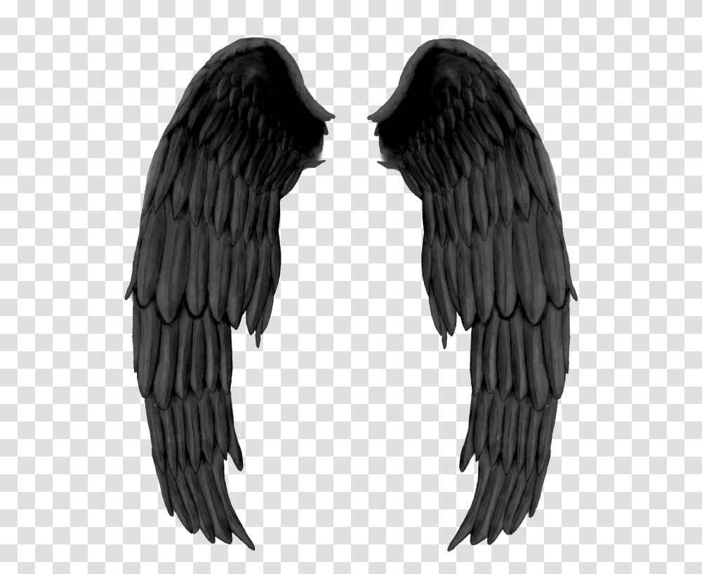 Realistic Angel Wings Petronas Towers, Eagle, Bird, Animal, Waterfowl Transparent Png