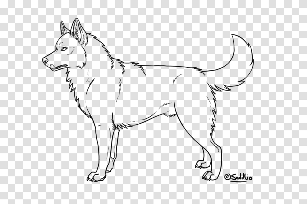 Realistic Clip Art Library Husky Coloring Page, Horse, Mammal, Animal, Silhouette Transparent Png