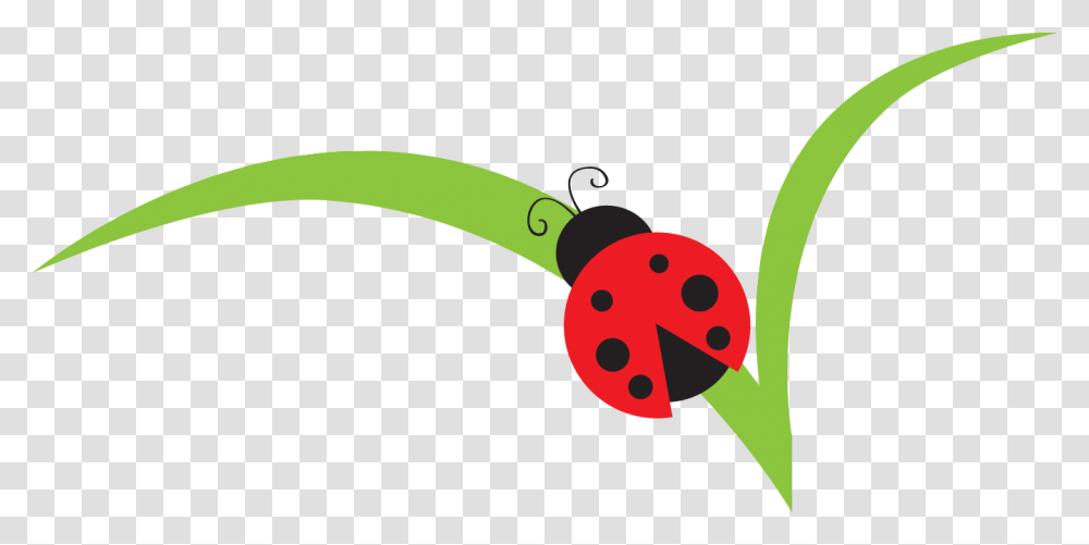 Realistic Clipart Bug, Plant, Vegetable, Food Transparent Png