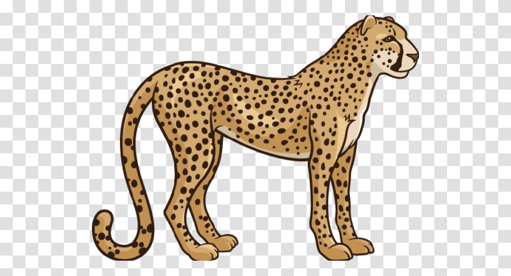 Realistic Clipart Cheetah, Wildlife, Mammal, Animal, Horse Transparent Png