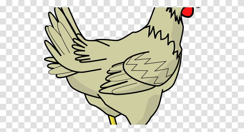 Realistic Clipart Chicken Chicken Clipart, Hen, Poultry, Fowl, Bird Transparent Png