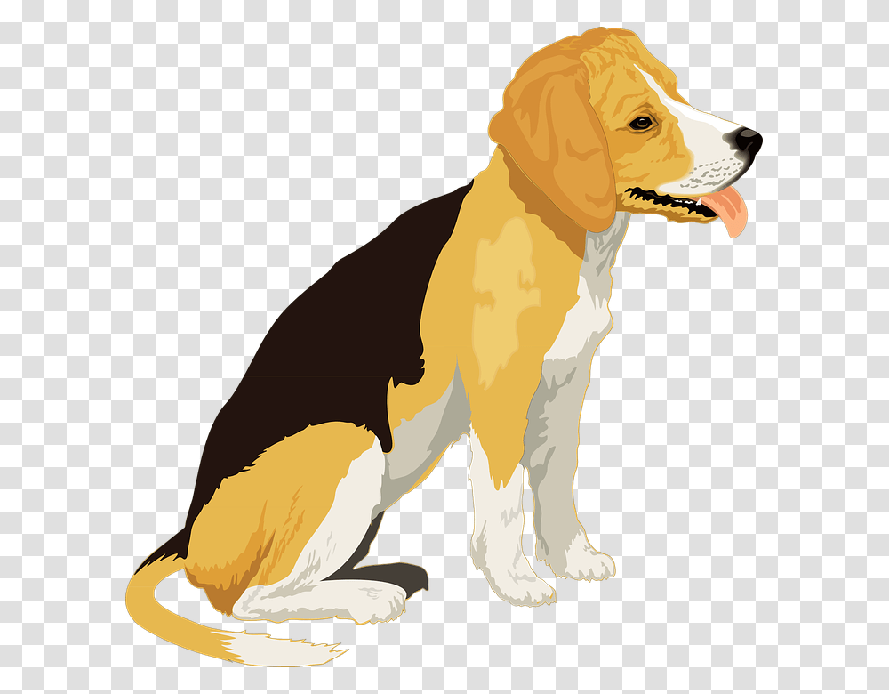 Realistic Clipart Dog, Hound, Pet, Canine, Animal Transparent Png