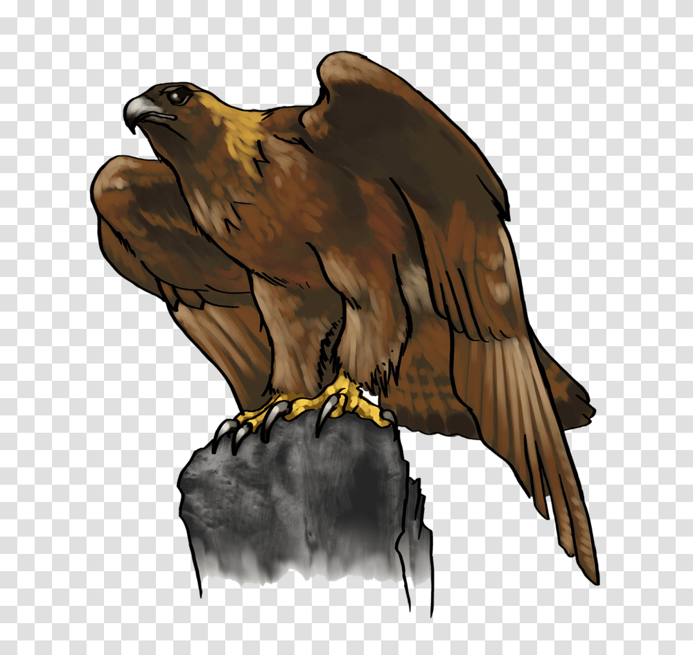 Realistic Clipart Eagle, Bird, Animal, Vulture, Hawk Transparent Png