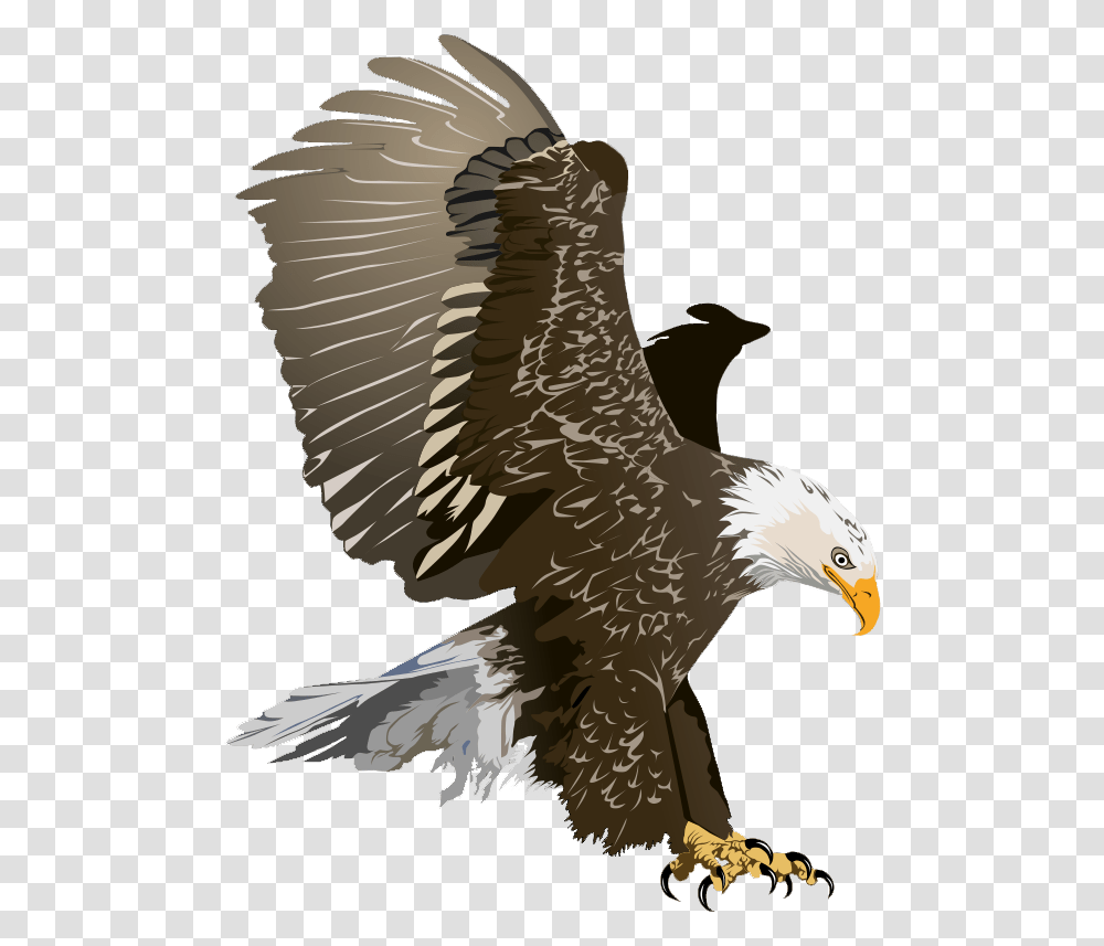 Realistic Clipart Eagle Clip Art Bald Eagle, Bird, Animal Transparent Png