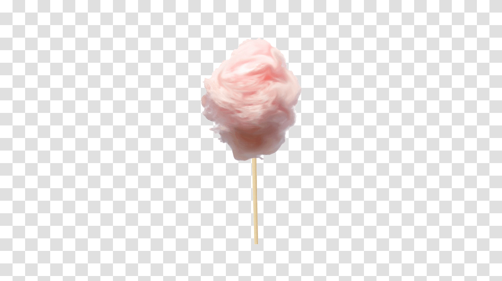 Realistic Cotton Candy, Rose, Flower, Plant, Blossom Transparent Png