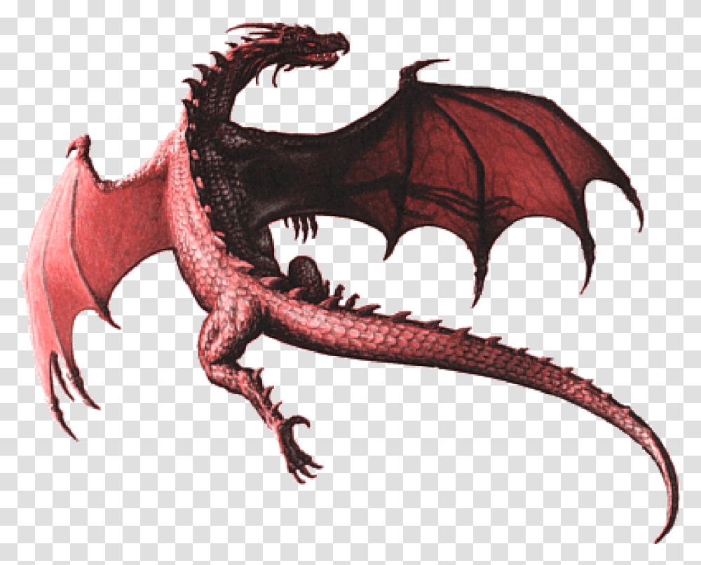 Realistic Dragon Background Real Dragon Transparent Png