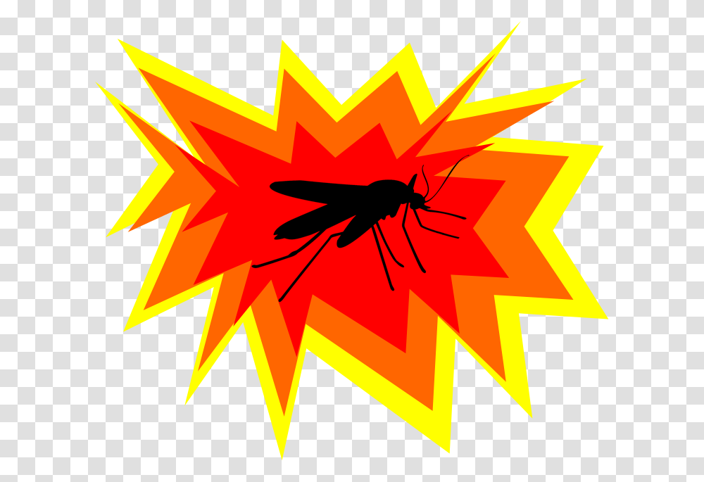 Realistic Explosion, Nature, Outdoors, Insect Transparent Png