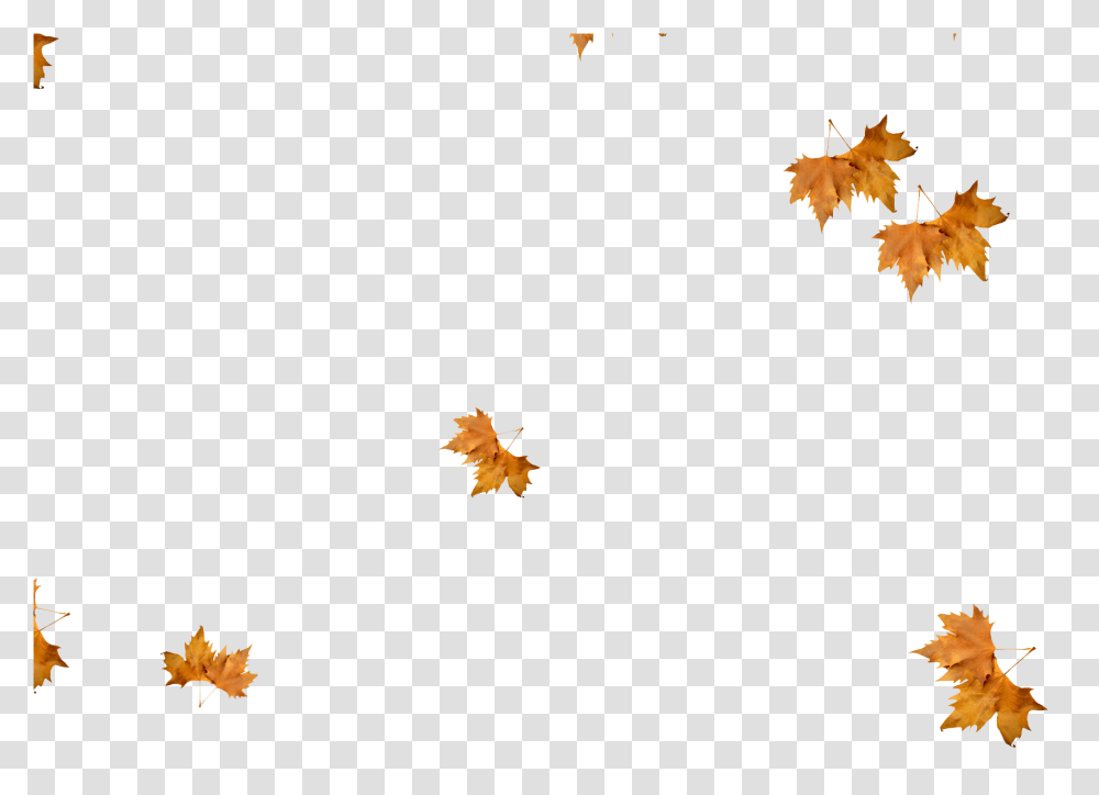 Realistic Falling Leaves, Leaf, Plant, Tree, Maple Transparent Png