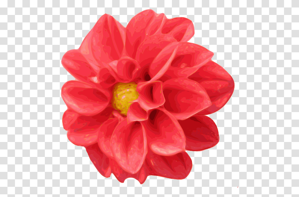 Realistic Flower Clip Art, Dahlia, Plant, Blossom, Rose Transparent Png