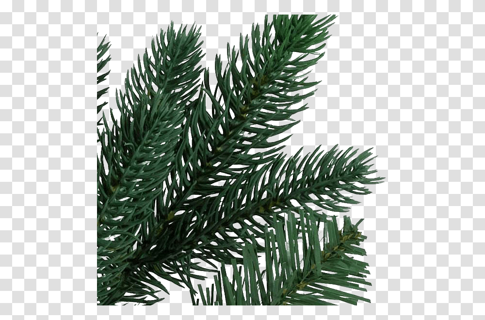 Realistic Foliage With Pe And Pvc Needles Yew Family, Tree, Plant, Fir, Abies Transparent Png
