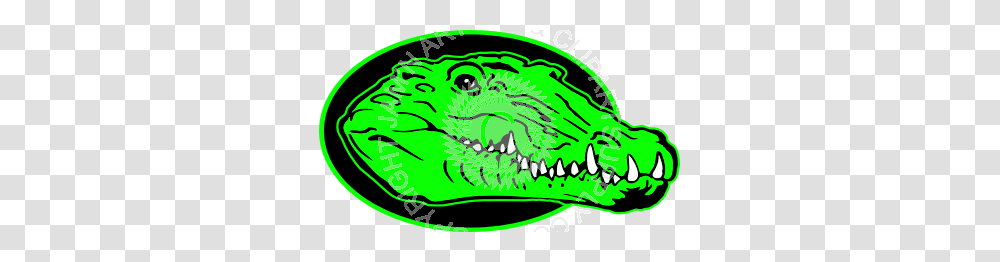 Realistic Gator Head In Color, Animal, Reptile, Plant, Mouth Transparent Png