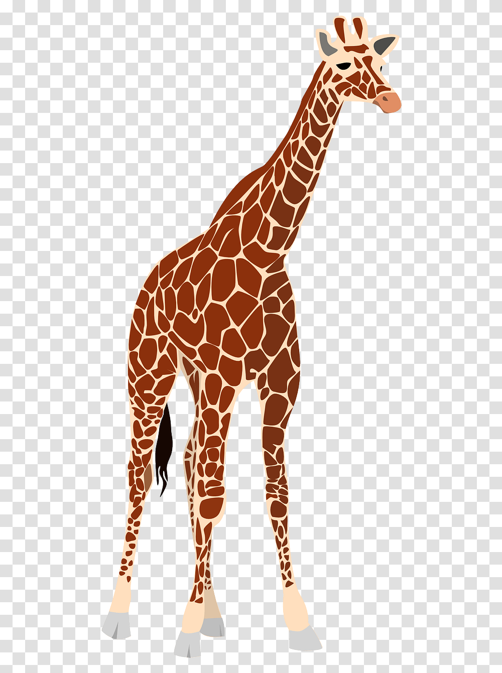Realistic Giraffe Clipart, Wildlife, Mammal, Animal Transparent Png