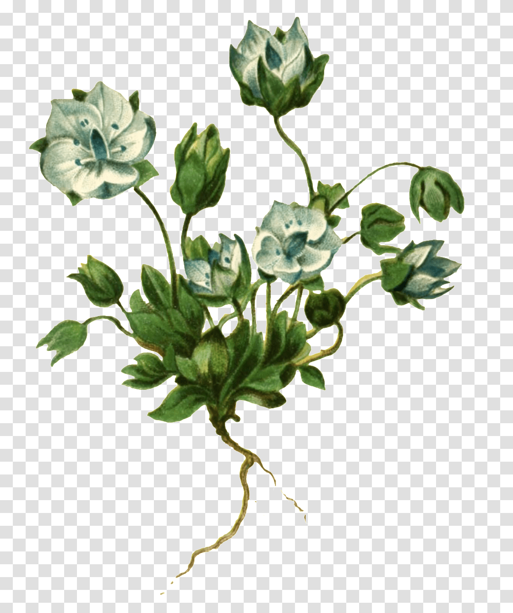 Realistic Hand Painted Plant With Roots And Plants, Floral Design, Pattern Transparent Png