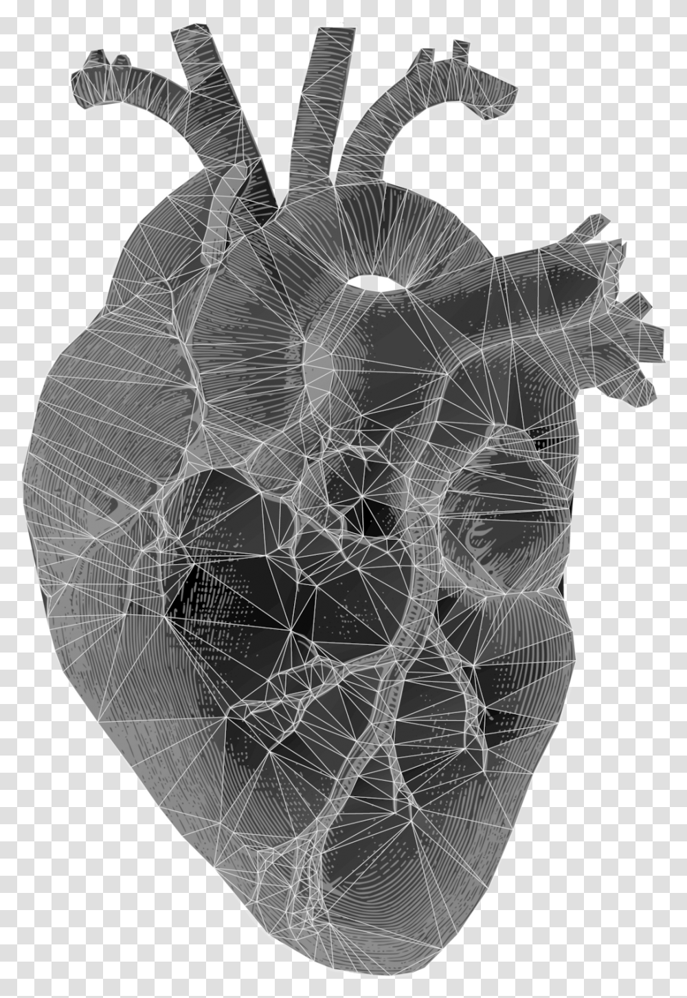 Realistic Heart 3 Image Heaven Shall Burn Invictus, Spider Web Transparent Png