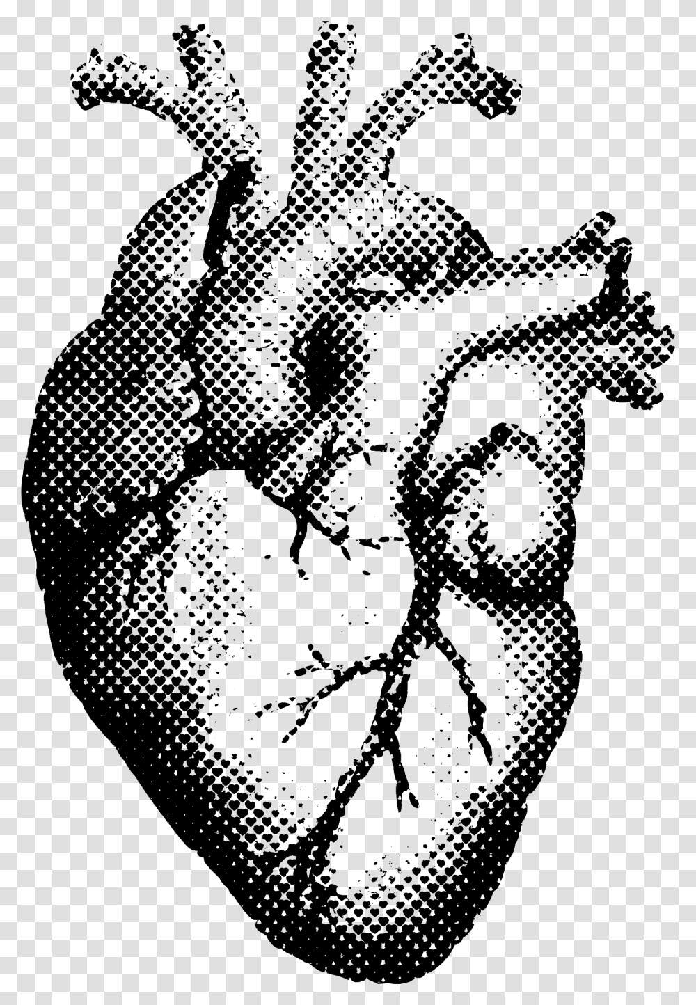 Realistic Heart Pencil Drawing, Gray, World Of Warcraft Transparent Png