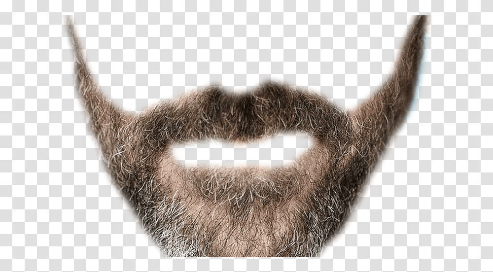 Realistic Mustache Background Background Beard, Face Transparent Png